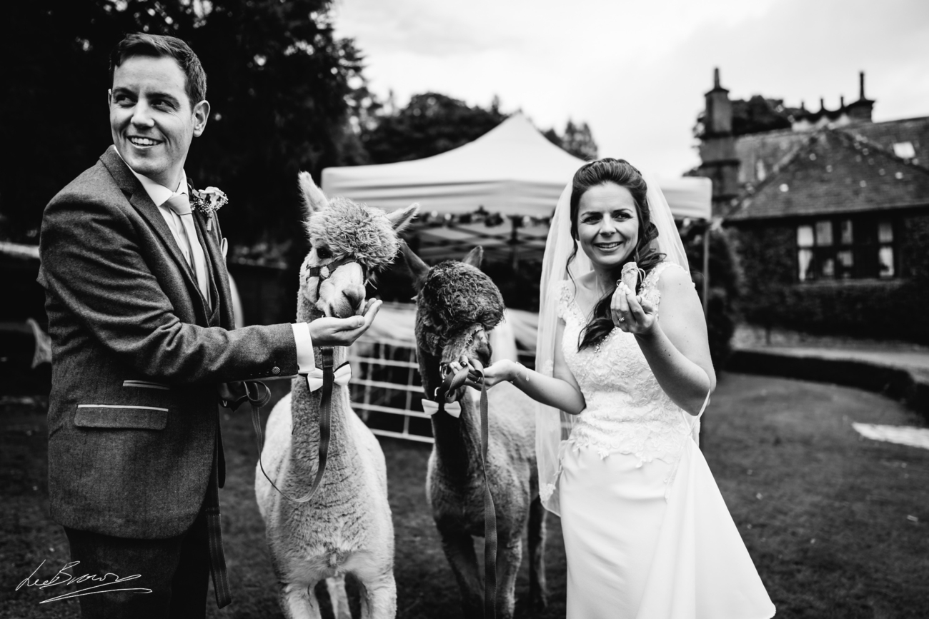 Broadoaks Country House Wedding Photography 0067