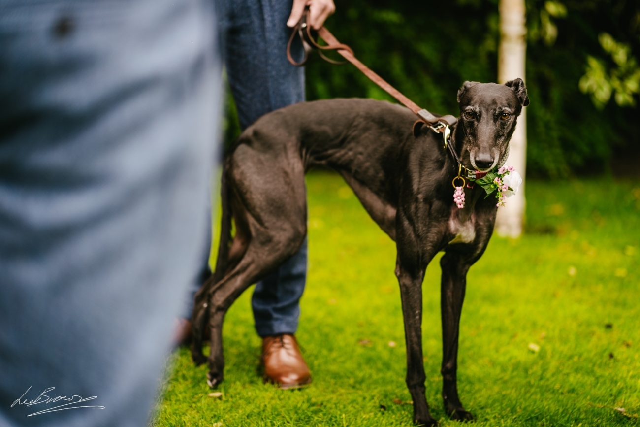 Wedding Photography At Sandhole Oak Barn - Nicole & Alex 28 Wedding Photography At Sandhole Oak Barn 0015