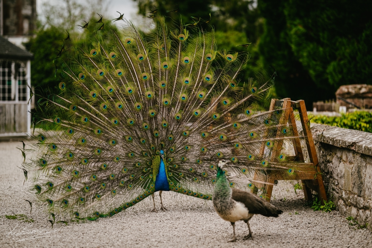 Ruthin Castle Hotel Spa Wedding 0004