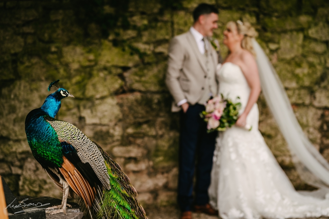 Ruthin Castle Hotel Spa Wedding 0039